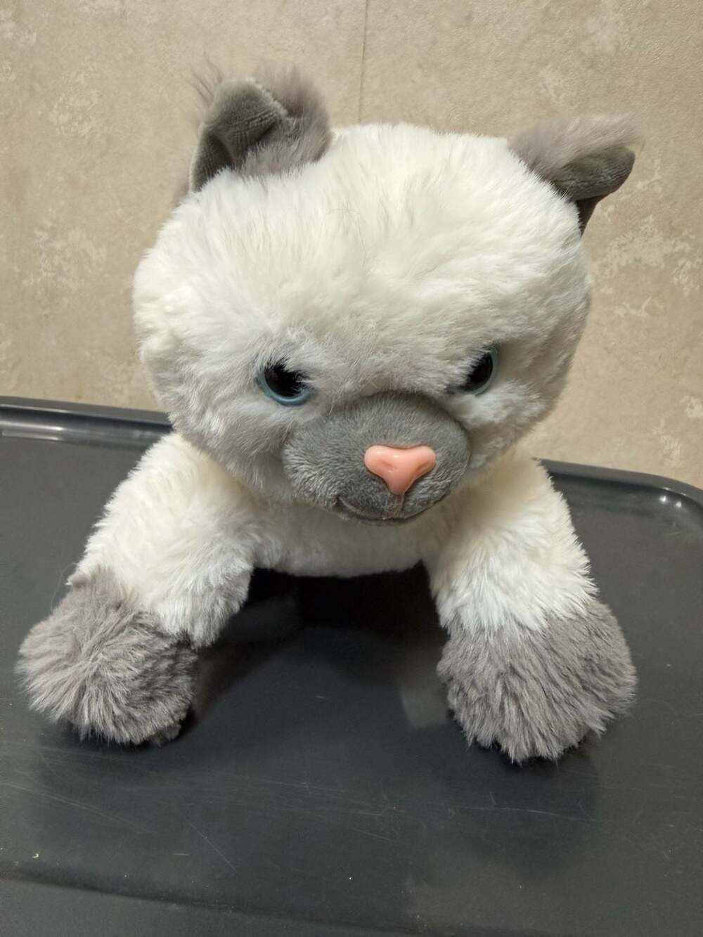Member's Mark Siamese Cat Plush 9 Inches White Stuffed Animal